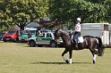 Polizeidirektion   161
